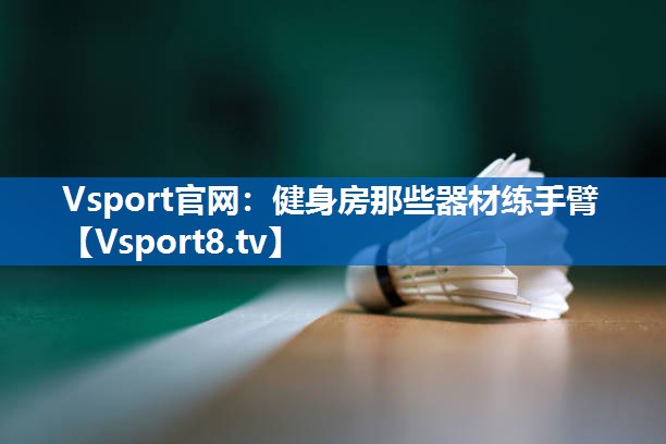 <strong>Vsport官网：健身房那些器材练手臂</strong>