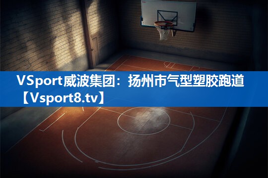 <strong>VSport威波集团：扬州市气型塑胶跑道</strong>
