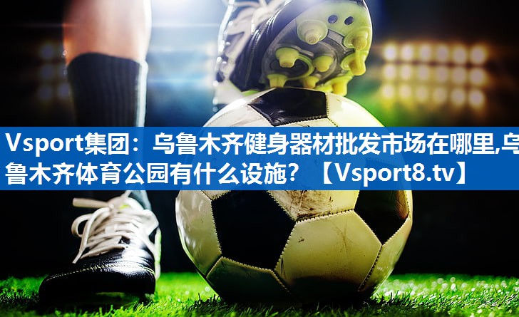<strong>Vsport集团：乌鲁木齐健身器材批发市场在哪里,乌鲁木齐体育公园有什么设施？</strong>