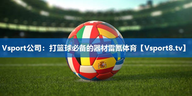 <strong>Vsport公司：打篮球必备的器材雷氪体育</strong>