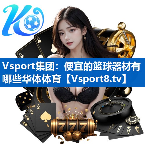 Vsport集团：便宜的篮球器材有哪些华体体育