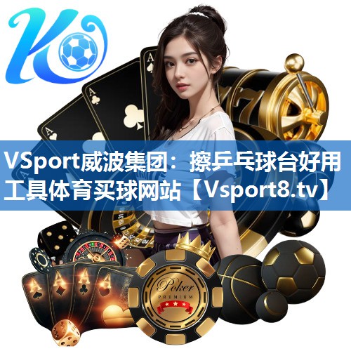 VSport威波集团：擦乒乓球台好用工具体育买球网站