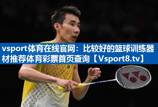 <strong>vsport体育在线官网：比较好的篮球训练器材推荐体育彩票首页查询</strong>