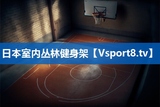 日本室内丛林健身架