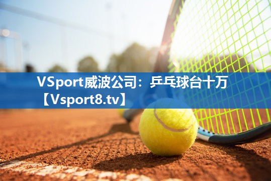 乒乓球台十万