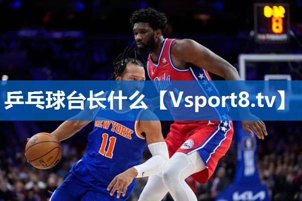 乒乓球台长什么 乒乓球台长什么