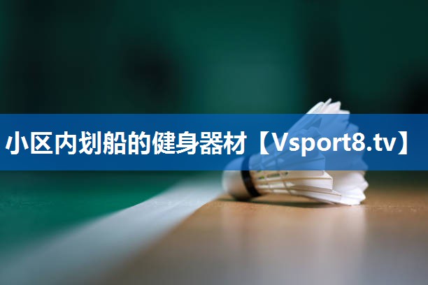 小区内划船的健身器材